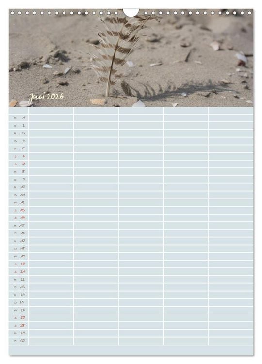Produktbild: Kleine Sand-Sch&ouml;nheiten / Familienplaner (Wandkalender 2026 DIN A3 hoch), CALVENDO Monatskalender