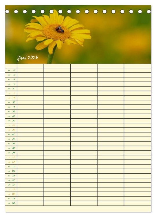 Produktbild: Kleine Natursch&ouml;nheiten (Tischkalender 2026 DIN A5 hoch), CALVENDO Monatskalender