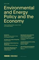 Produktbild: Environmental and Energy Policy and the Economy