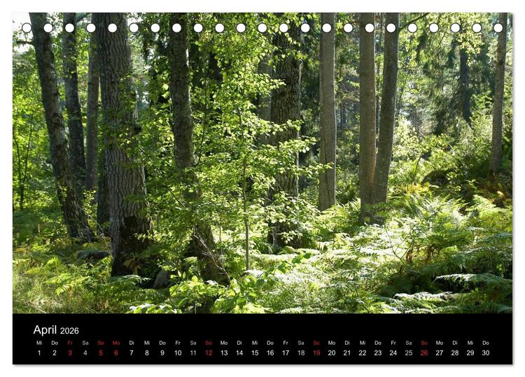 Produktbild: Sommer in Stockholm 2026 (Tischkalender 2026 DIN A5 quer), CALVENDO Monatskalender