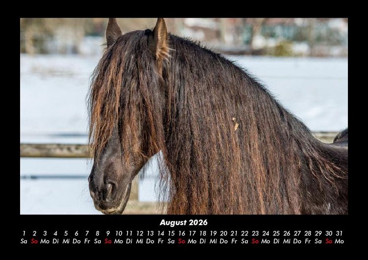 Produktbild: Pferdetraum 2026 Fotokalender DIN A3