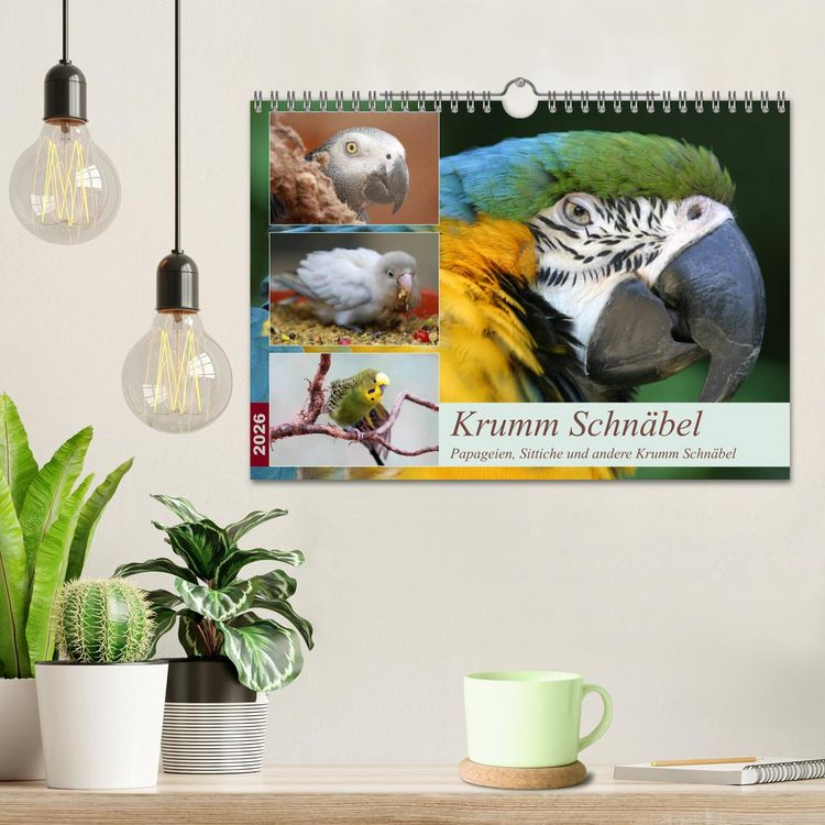 Produktbild: Krumm Schn&auml;bel - Papageien, Sittiche und andere Krumm Schn&auml;bel (Wandkalender 2026 DIN A4 quer), CALVENDO Monatskalender