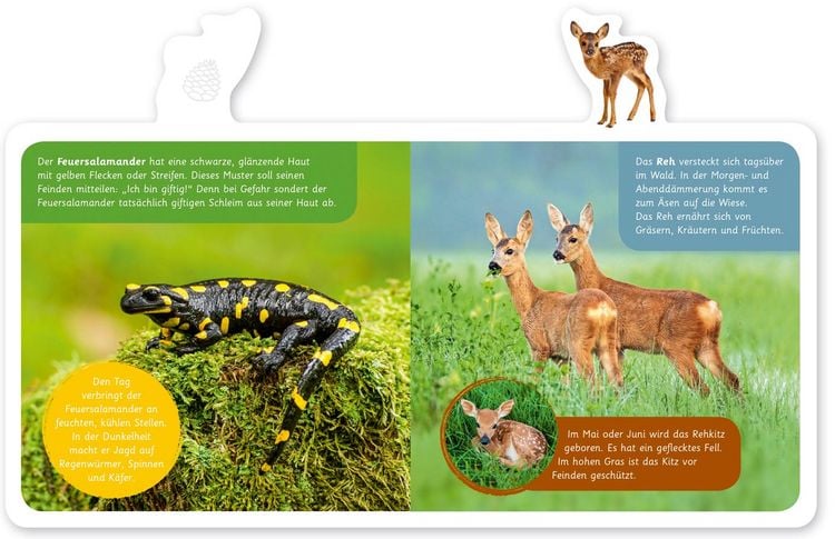 Produktbild: Tiere im Wald