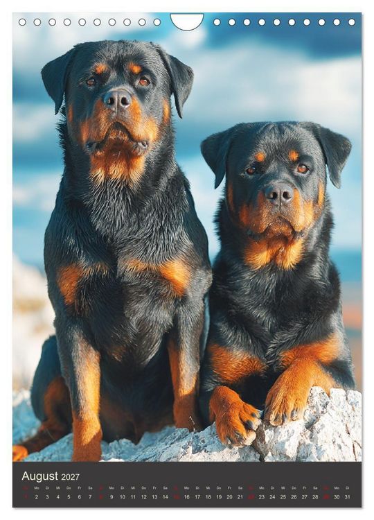 Produktbild: Rottweiler. Kraft, Herz und Treue (Wandkalender 2027 DIN A4 hoch), CALVENDO Monatskalender