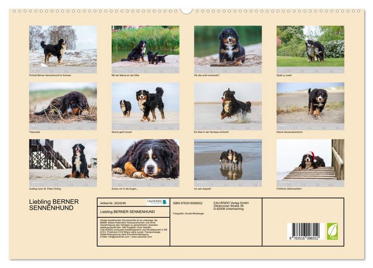 Produktbild: Liebling BERNER SENNENHUND (hochwertiger Premium Wandkalender 2026 DIN A2 quer), Kunstdruck in Hochglanz