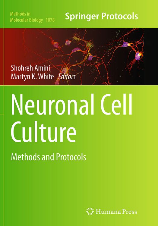 Produktbild: Neuronal Cell Culture