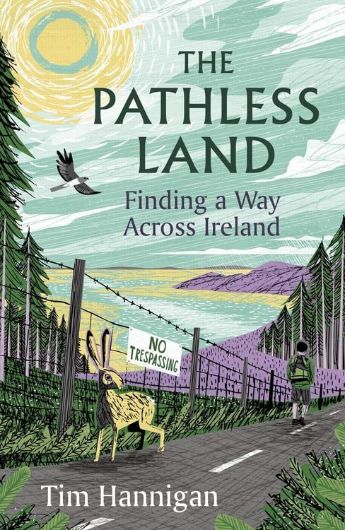 Produktbild: The Pathless Land