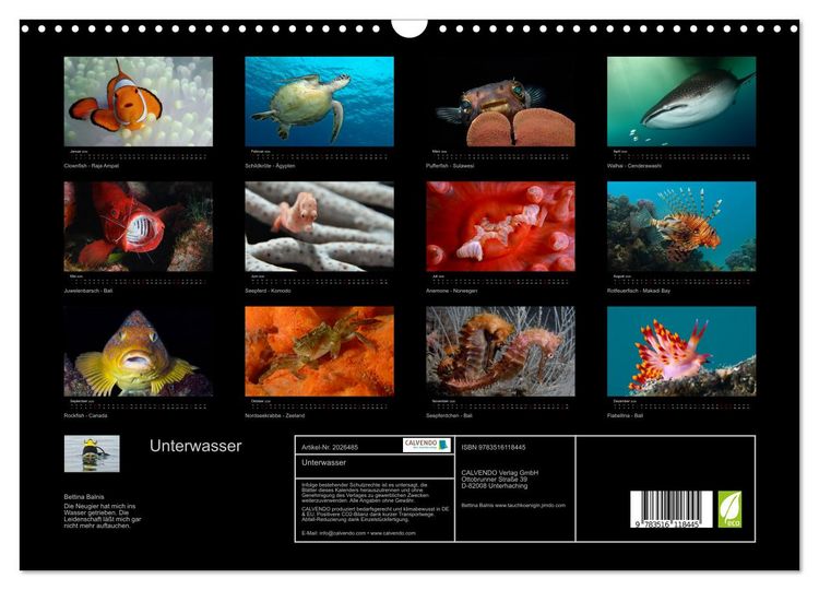 Produktbild: Unterwasser (Wandkalender 2026 DIN A3 quer), CALVENDO Monatskalender