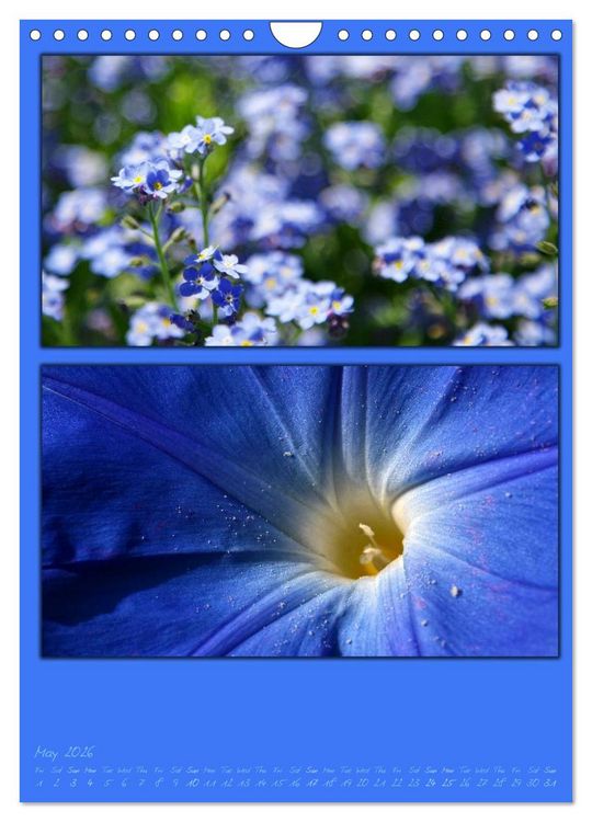Produktbild: Colours of Nature / UK-Version (Wall Calendar 2026 DIN A4 portrait), CALVENDO 12 Month Wall Calendar
