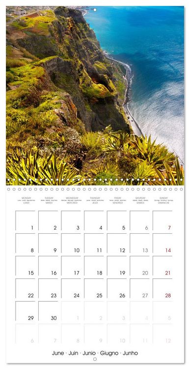 Produktbild: Madeira, Beauty of Nature (Wall Calendar 2026 12 &times; 12 Inch) CALVENDO 12 Month Wall Calendar