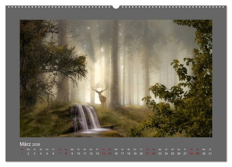 Produktbild: Waldgeheimnisse (Wandkalender 2026 DIN A2 quer), CALVENDO Monatskalender