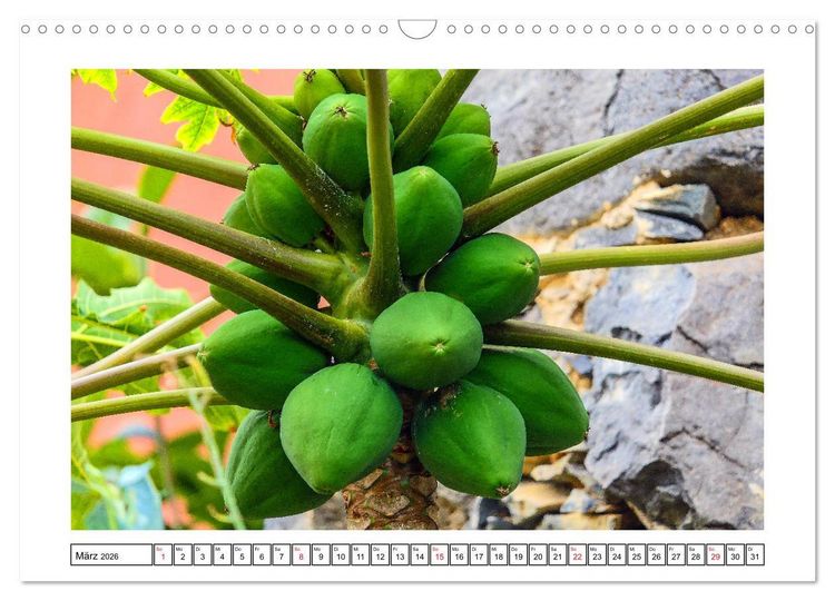 Produktbild: Insel der Sehnsucht - La Gomera (Wandkalender 2026 DIN A3 quer), CALVENDO Monatskalender