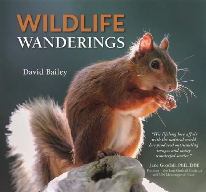 Produktbild: Bailey, D: Wildlife Wanderings