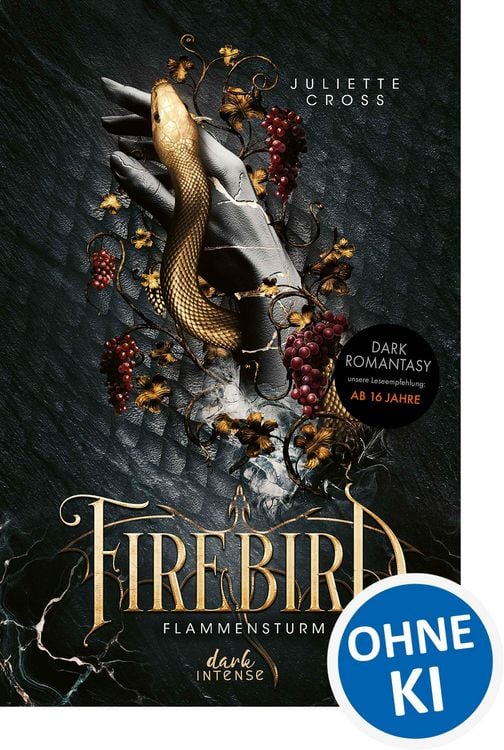 Produktbild: Flammensturm (Band 1) - Firebird