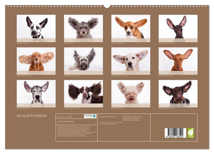 Produktbild: SCHLAPPOHREN (hochwertiger Premium Wandkalender 2026 DIN A2 quer), Kunstdruck in Hochglanz