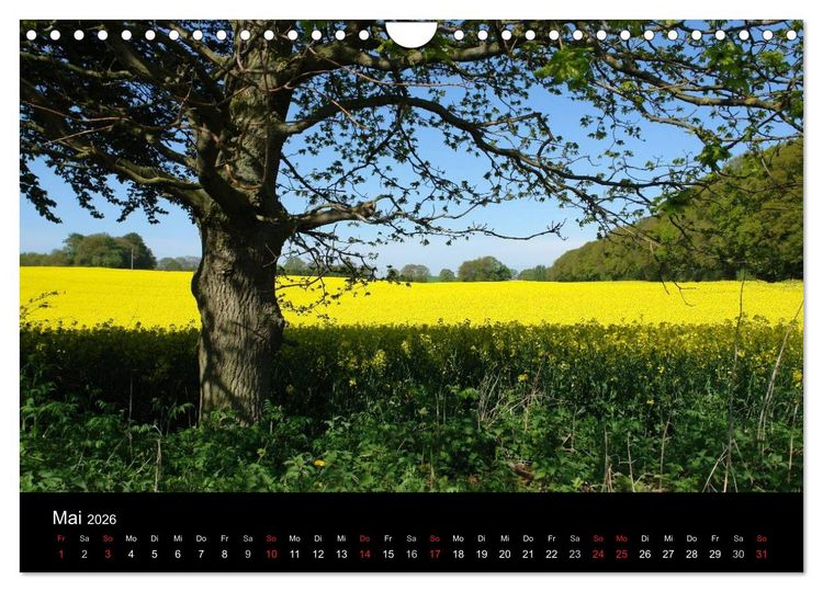 Produktbild: Baum-Variationen (Wandkalender 2026 DIN A4 quer), CALVENDO Monatskalender