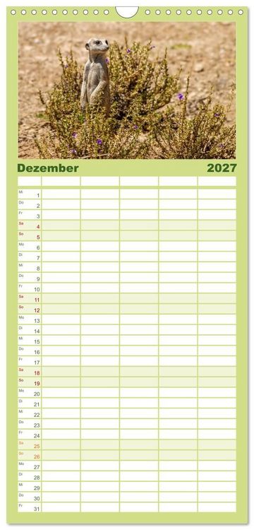 Produktbild: Familienplaner 2027 - Afrikas Tierwelt - Erdm&auml;nnchen mit 5 Spalten (Wandkalender, 21 x 45 cm) CALVENDO