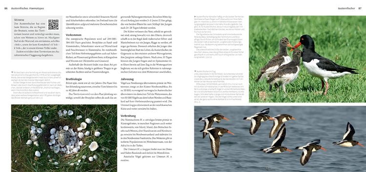 Produktbild: Die Watv&ouml;gel Europas