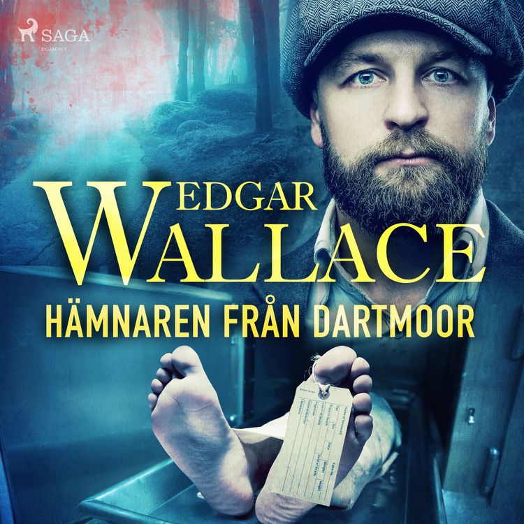 Produktbild: H&auml;mnaren fr&aring;n Dartmoor