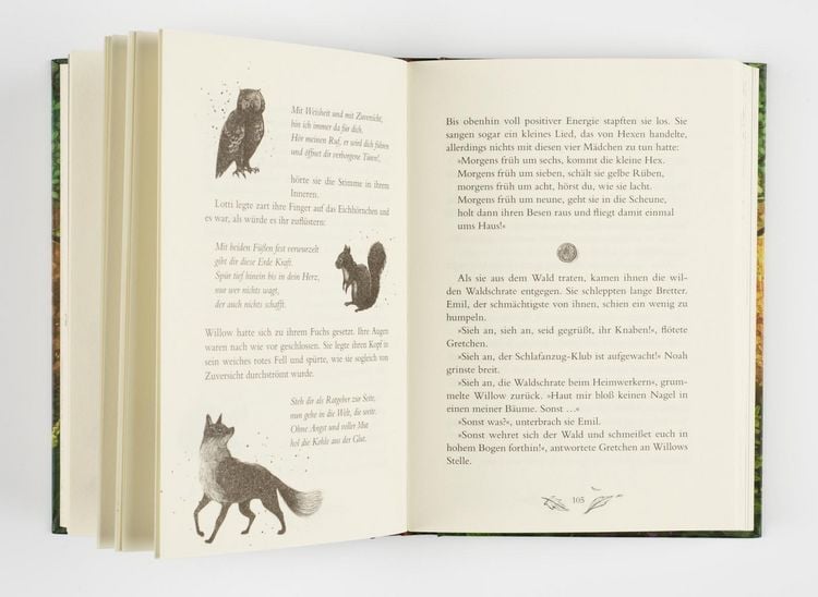 Produktbild: Ein M&auml;dchen namens Willow 2: Waldgefl&uuml;ster