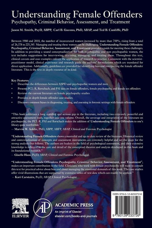 Produktbild: Understanding Female Offenders