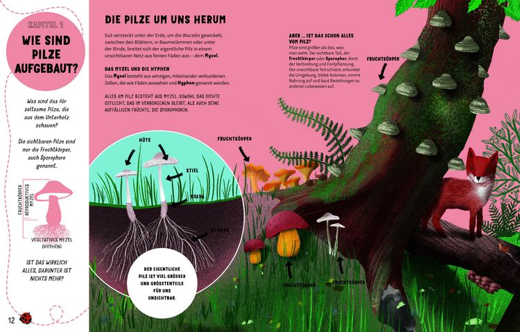Produktbild: Die Geheimnisse der Pilze