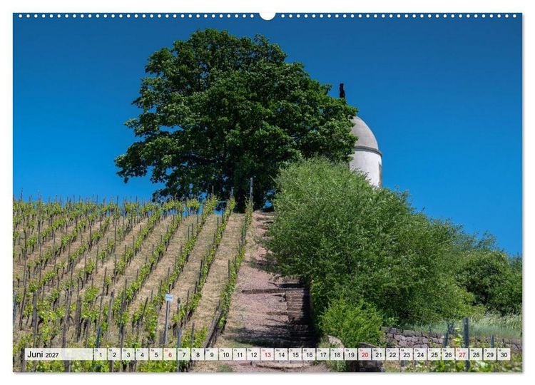 Produktbild: S&auml;chsische Sehnsucht - Ein Jahr zwischen Mei&szlig;en und Radebeul (hochwertiger Premium Wandkalender 2027 DIN A2 quer), Kunstdruck in Hochglanz