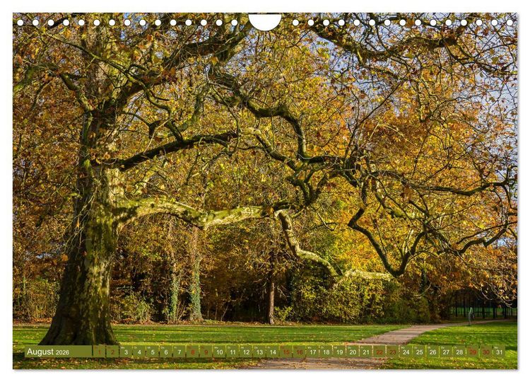 Produktbild: Das Steinfurter Bagno im Wandel der Jahreszeiten (Wandkalender 2026 DIN A4 quer), CALVENDO Monatskalender