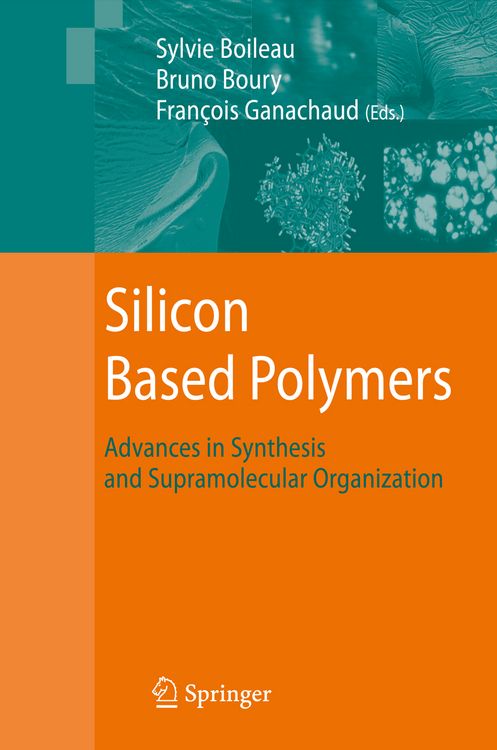Produktbild: Silicon Based Polymers