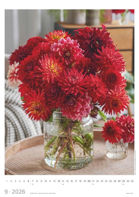 Produktbild: Blumen 2026 - Bildkalender A3 (29,7x42 cm) - Flowers - mit Feiertagen (DE/AT/CH) - Wandkalender - Blumenkalender