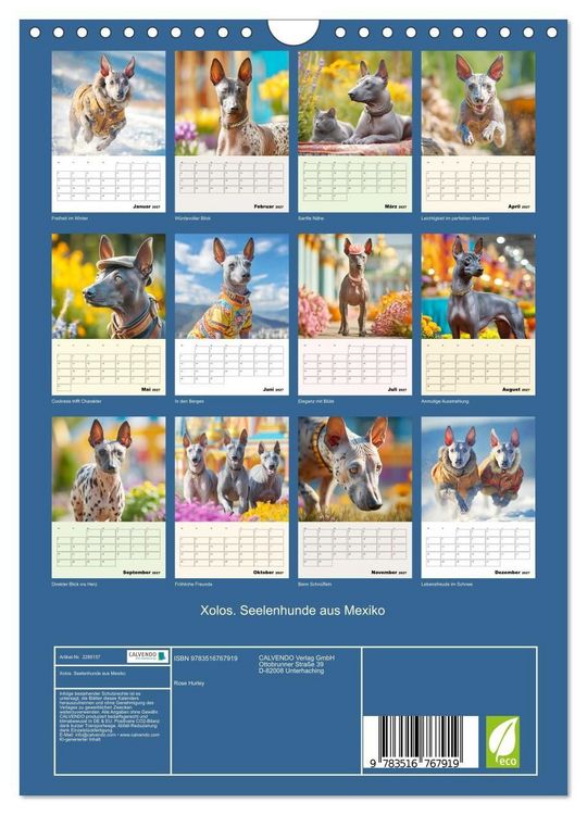 Produktbild: Xolos. Seelenhunde aus Mexiko (Wandkalender 2027 DIN A4 hoch), CALVENDO Monatskalender