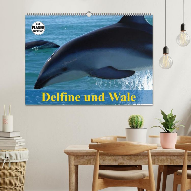Produktbild: Delfine und Wale (Wandkalender 2026 DIN A2 quer), CALVENDO Monatskalender