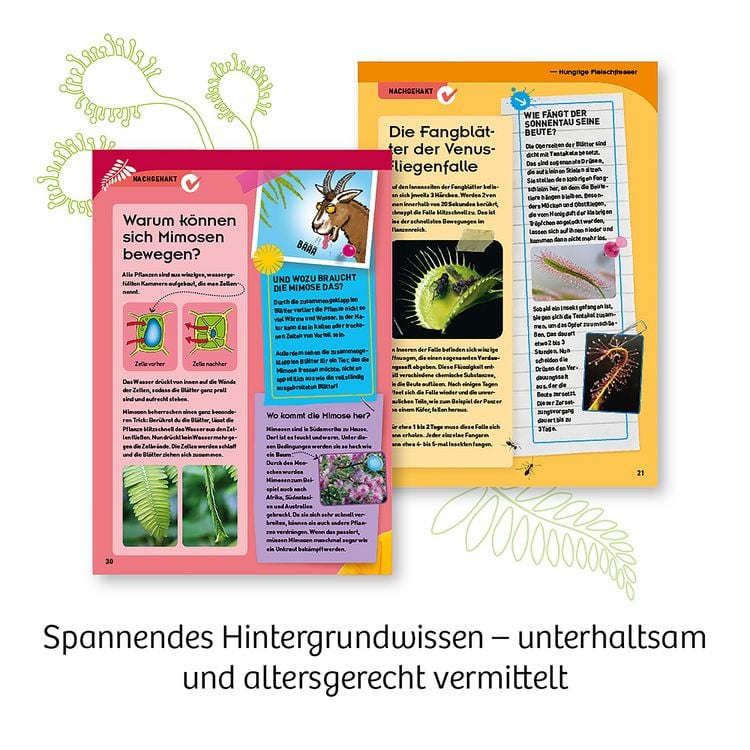 Produktbild: Fleischfressende Pflanzen