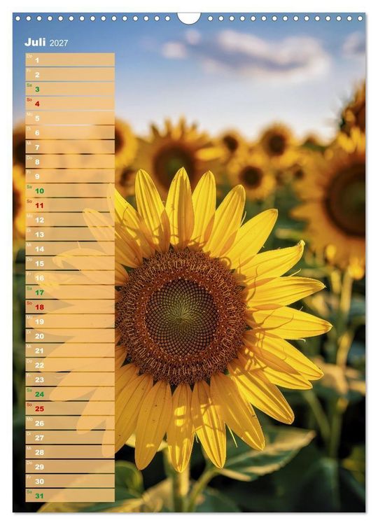Produktbild: Bunte Augenblicke (Wandkalender 2027 DIN A3 hoch), CALVENDO Monatskalender