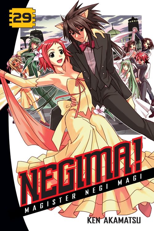 Produktbild: Negima Magister Negi Magi V29