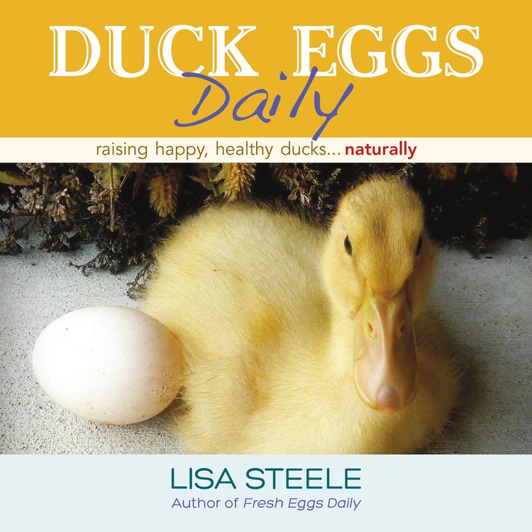 Produktbild: Duck Eggs Daily