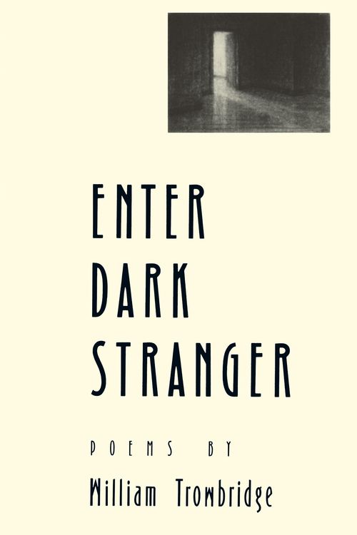 Produktbild: Enter Dark Stranger
