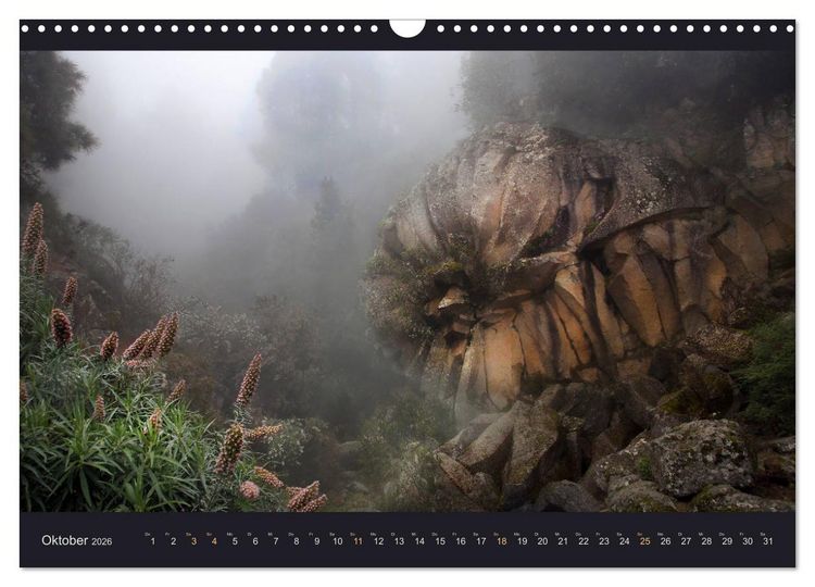 Produktbild: wildes Teneriffa (Wandkalender 2026 DIN A3 quer), CALVENDO Monatskalender
