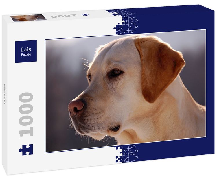 Produktbild: Lais Puzzle Labrador 1000 Teile