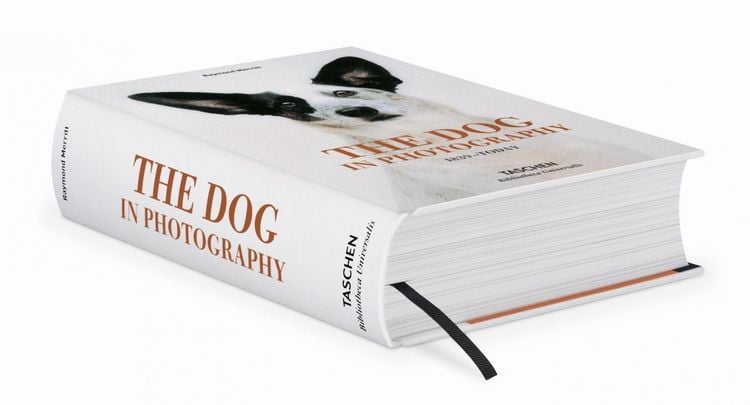 Produktbild: The Dog in Photography 1839&ndash;Today