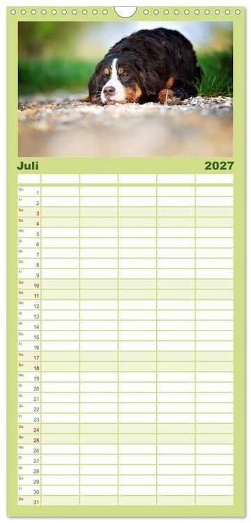 Produktbild: Familienplaner 2027 - Berner Sennenhunde mit 5 Spalten (Wandkalender, 21 x 45 cm) CALVENDO