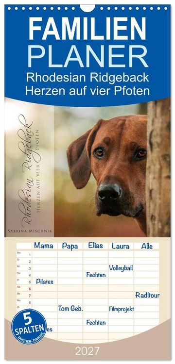 Produktbild: Familienplaner 2027 - Rhodesian Ridgeback - Herzen auf vier Pfoten mit 5 Spalten (Wandkalender, 21 x 45 cm) CALVENDO