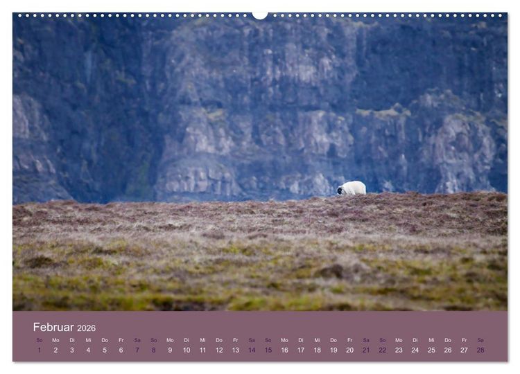 Produktbild: Unter Schafen - Wegbegleiter auf Reisen (Wandkalender 2026 DIN A2 quer), CALVENDO Monatskalender