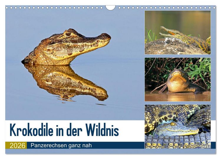 Produktbild: Krokodile in der Wildnis (Wandkalender 2026 DIN A3 quer), CALVENDO Monatskalender