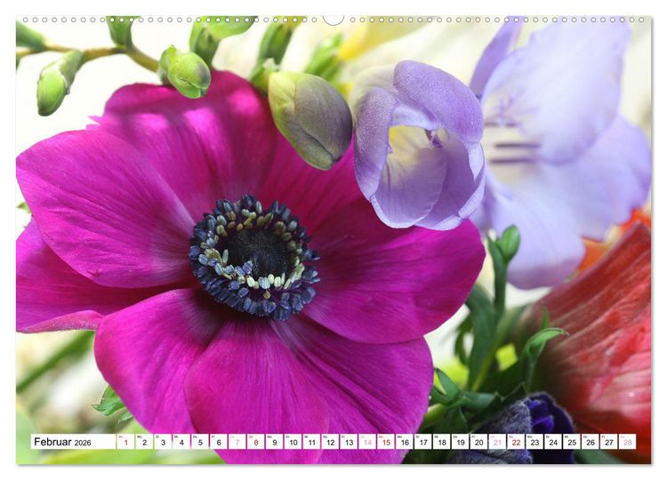 Produktbild: Blumenpracht - Bl&uuml;ten und Str&auml;u&szlig;e (hochwertiger Premium Wandkalender 2026 DIN A2 quer), Kunstdruck in Hochglanz