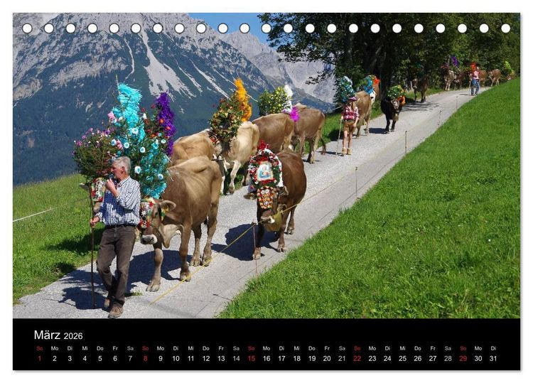 Produktbild: Almabtrieb in Tirol (Tischkalender 2026 DIN A5 quer), CALVENDO Monatskalender