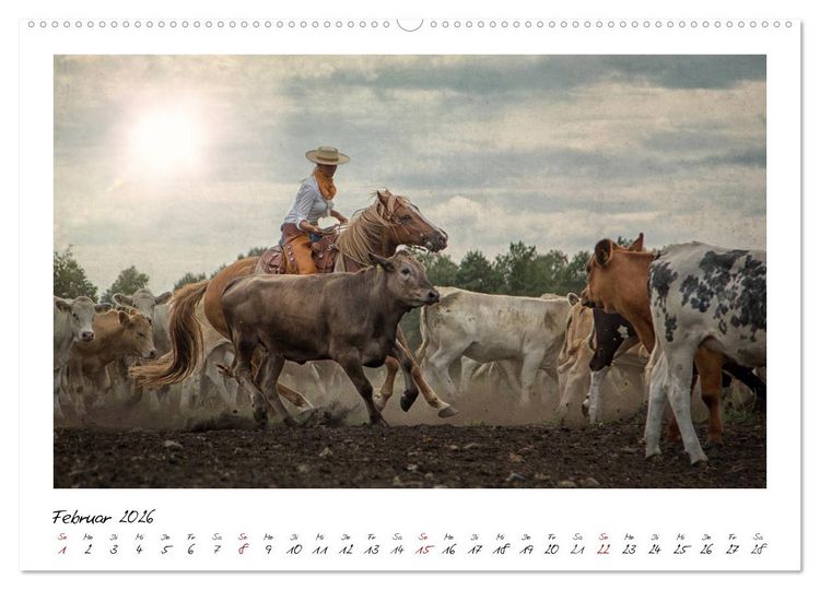 Produktbild: Mecklenburgs Wilder Westen (hochwertiger Premium Wandkalender 2026 DIN A2 quer), Kunstdruck in Hochglanz