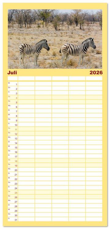 Produktbild: Familienplaner 2026 - Zebras in Afrika mit 5 Spalten (Wandkalender, 21 x 45 cm) CALVENDO