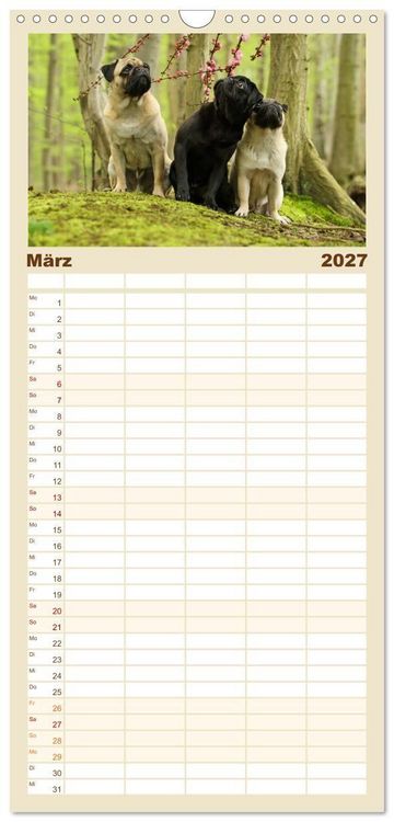 Produktbild: Familienplaner 2027 - Lustige M&ouml;pse aus der Hundeknipserei mit 5 Spalten (Wandkalender, 21 x 45 cm) CALVENDO