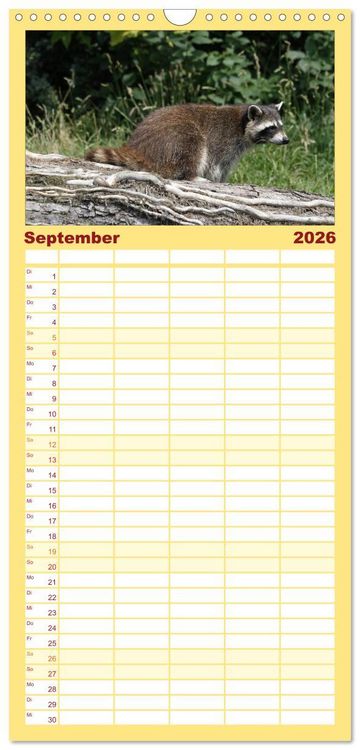 Produktbild: Familienplaner 2026 - Waschb&auml;ren mit 5 Spalten (Wandkalender, 21 x 45 cm) CALVENDO